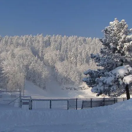 Apartman Apolon Planinski *