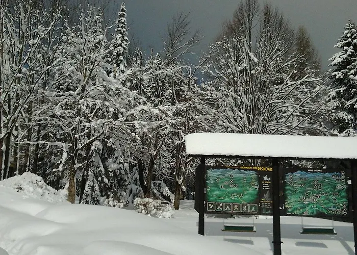 Διαμέρισμα Apolon Planinski