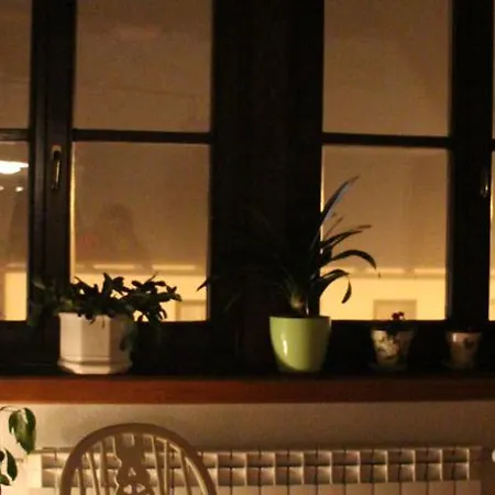 Apartment Apolon Planinski *