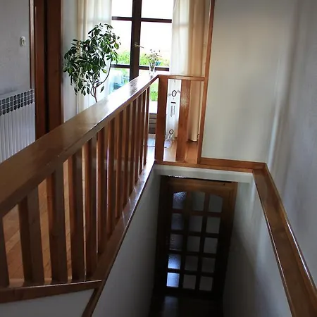 Apolon Planinski * Delnice