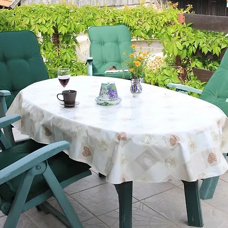 Apolon Planinski Delnice