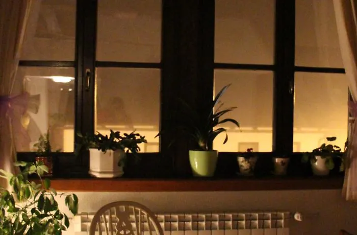 Appartamento Apolon Planinski *