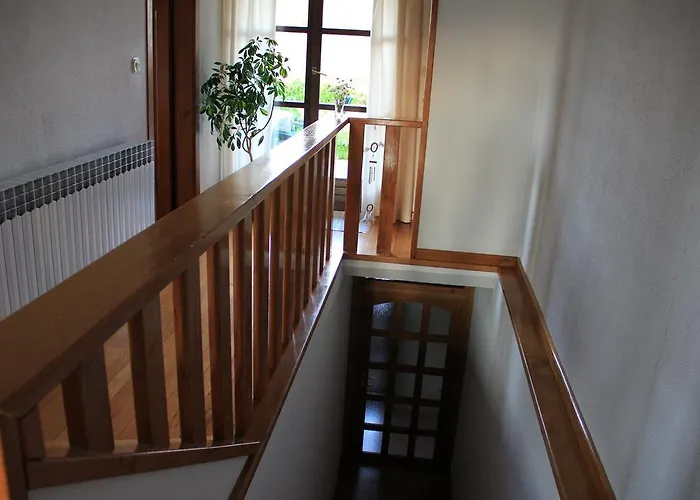 Apolon Planinski * Delnice