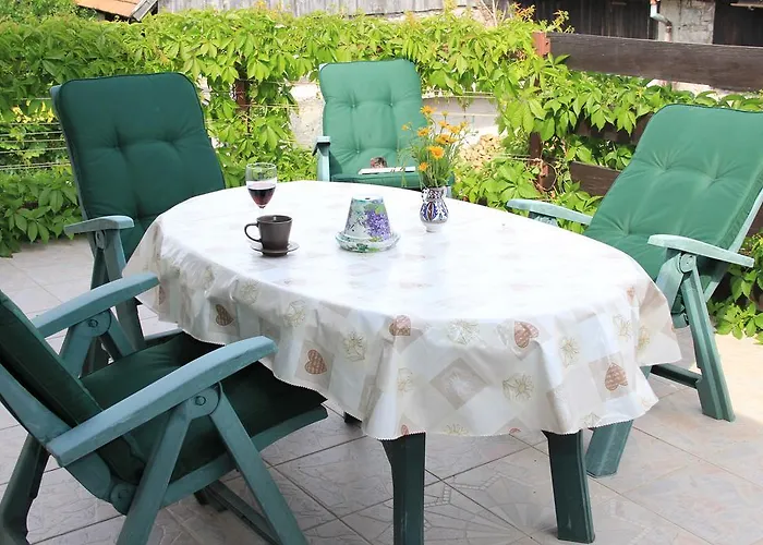 Apolon Planinski Delnice