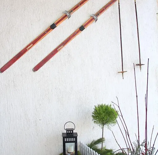 Apolon Planinski Delnice